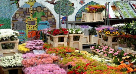 Columbia Road Flower Market