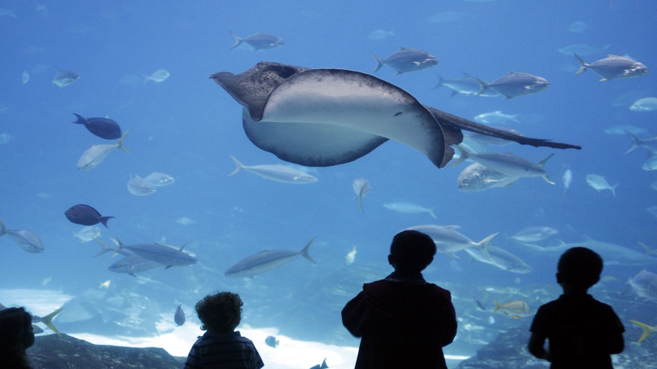 Sea Life London Aquarium