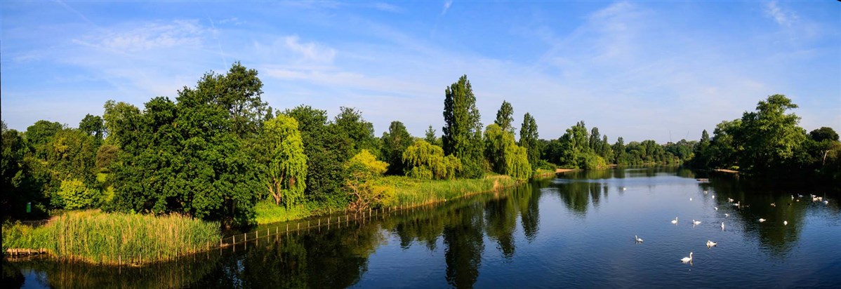 view атлас определитель рыб